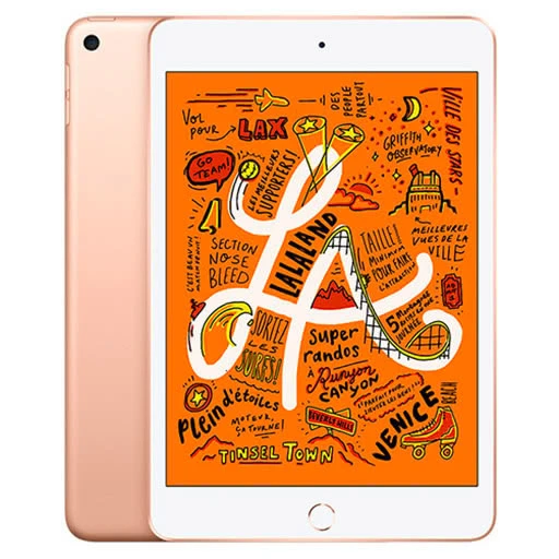 Used iPad mini 5th